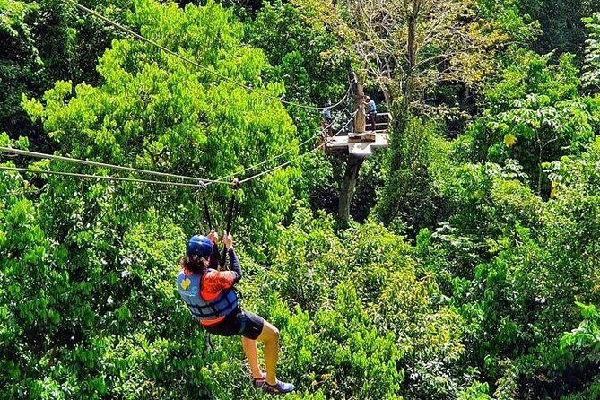 Zipline with Waterfalls and Lunch, Amber Cove and Taino Bay - An In-Depth Look at This Waterfalls & Zipline Adventure