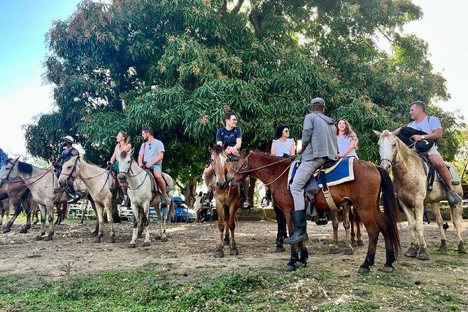 Zipline,Dune Buggy,Horse Riding - The Sum Up