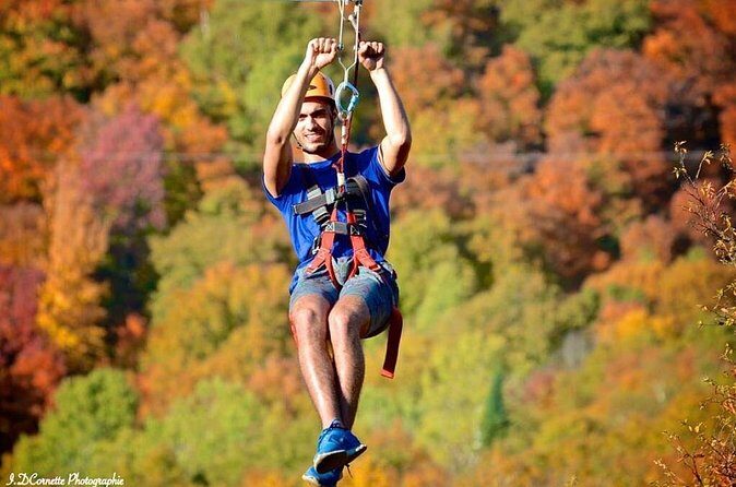 Ziplines over Laurentian Mountains at Mont-Catherine - Pricing and Value: Is It Worth It?