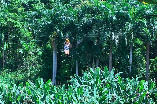 Ziplining at the Rainforest in Puerto Rico - Value and Pricing