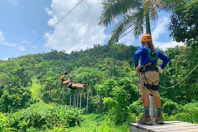 Ziplining at the Rainforest in Puerto Rico - Who Should Consider This Tour?