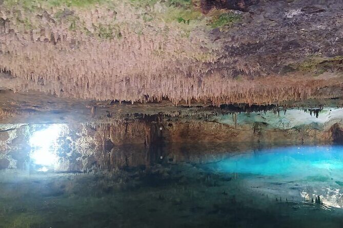 Ziplining ATVs and Cenote Swim with Lunch Cancun Adventure Tour - The Itinerary: What You Can Expect