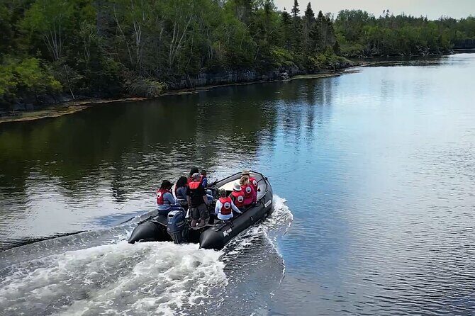 Zodiac Coastal Tour with Naturalist Guide: Lunenburg - Key Points