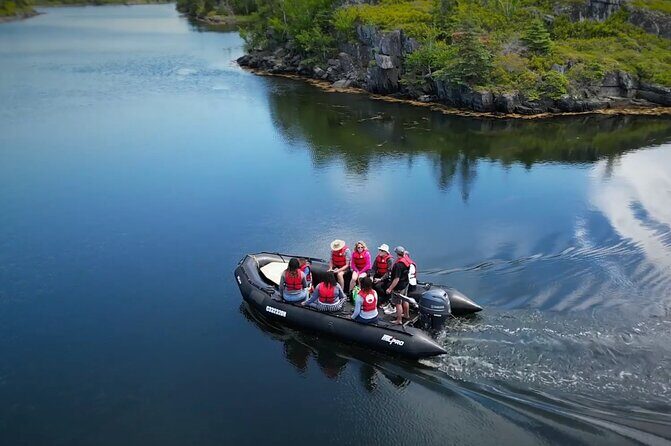 Zodiac Coastal Tour with Naturalist Guide: Lunenburg - What Travelers Say