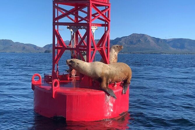 Zodiac Fast Boat Adventure - Practicalities and Value