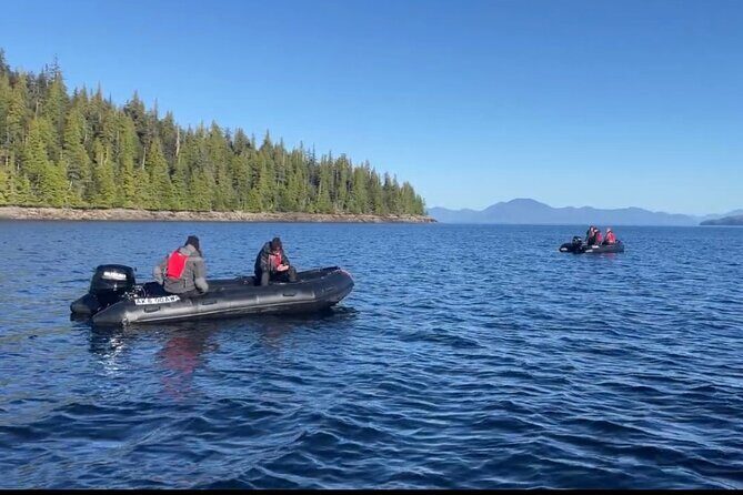 Zodiac Fast Boat Adventure - Authentic Experiences Highlighted by Reviews