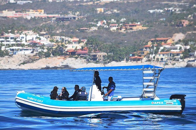 Zodiac Whale Watching Adventure - Incl FREE photos - Who Will Love This Tour?