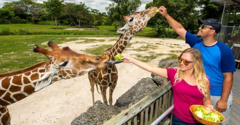 Zoo Miami: General Admission Ticket - Who Will Enjoy Zoo Miami Most?