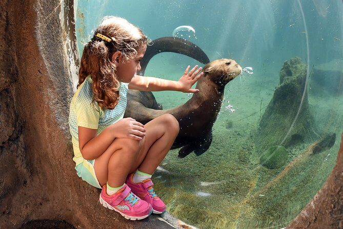 Zoo Miami Ticket with Optional Upgrade - A Closer Look at What to Expect at Zoo Miami