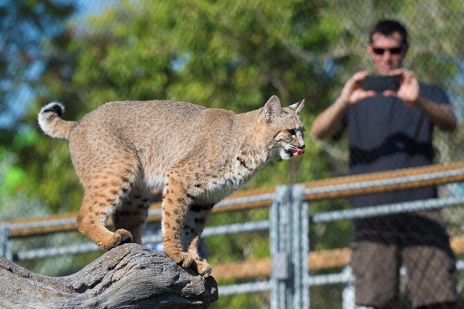Zoo Miami Ticket with Optional Upgrade - Who Should Visit Zoo Miami?