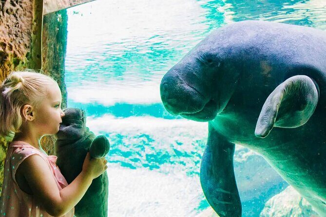 ZooTampa at Lowry Park Admission Ticket - What Travelers Say: Balancing Praise with Constructive Feedback