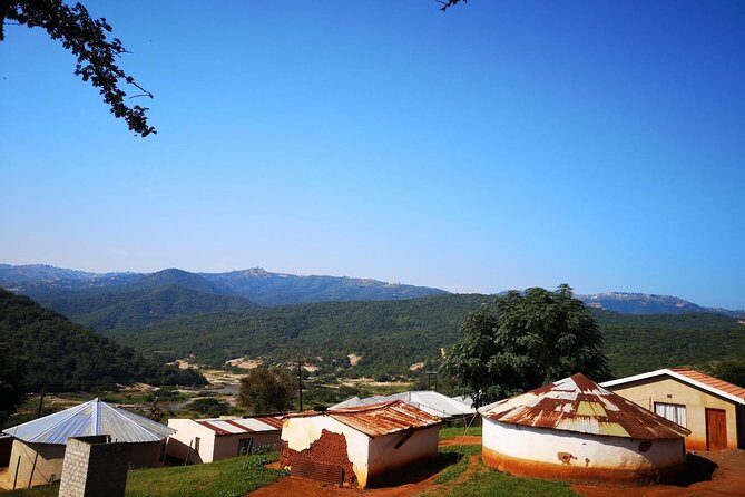 Zulu Cultural Experience: Zulu Village + Tribal Markets + Traditional Zulu Food - Frequently Asked Questions