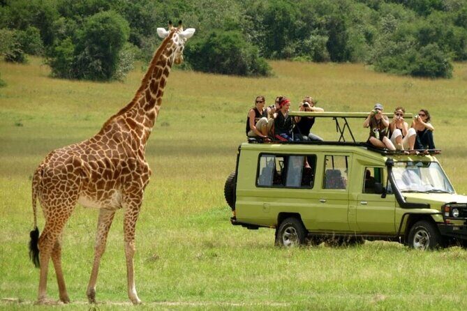 Zululand 5 Day Private Safari from Durban - The Price and Its Value