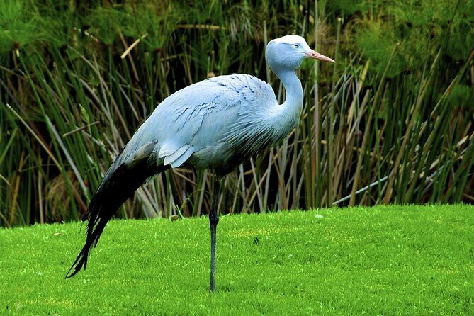 Zululand 5 Day Private Safari from Durban - FAQ