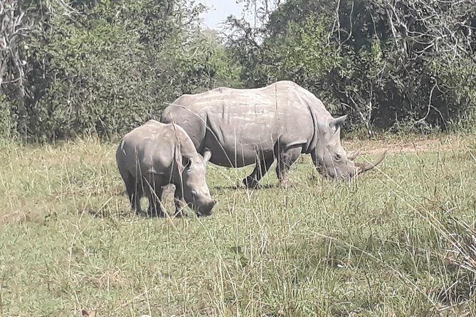 Zziwa Rhino Sanctuary Walking Safari - FAQs
