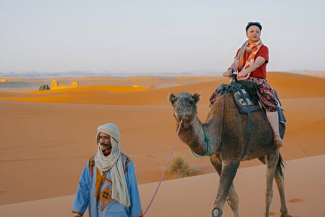 4 Hour Morning Desert Safari with Camel Ride & Sand Boarding - What the Reviews Say