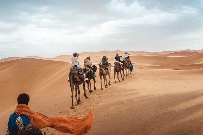 4x4 Desert Safari Abu Dhabi with BBQ Dinner - An In-Depth Look: What to Expect