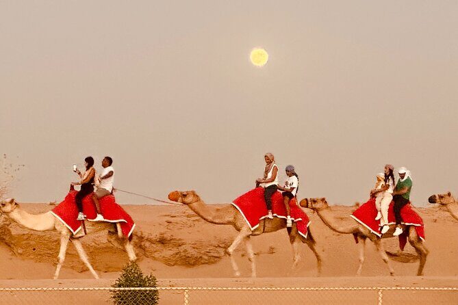 4x4 off-Road Desert Safari, Sandboarding, CamelRide, Veg & BBQ - Who Is This Tour Best For?