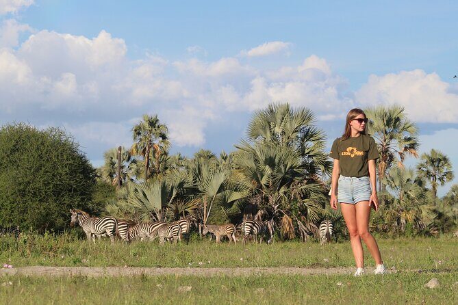 5-Day Highlights mid-Range Crater, Serengeti, Tarangire - An In-Depth Look at the 5-Day Safari Itinerary