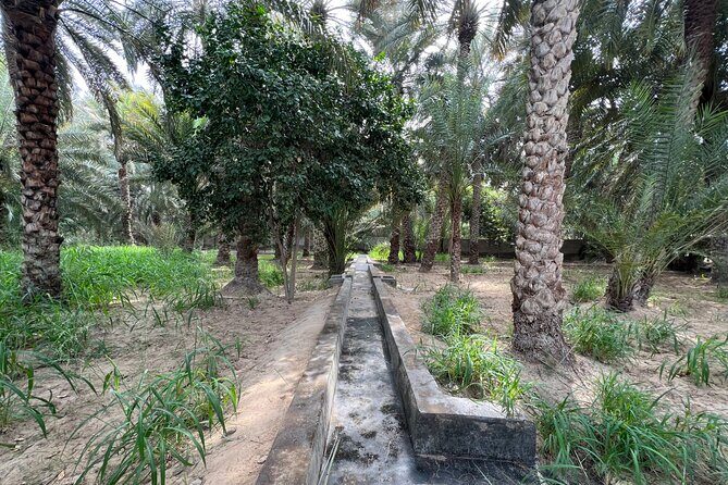 8 Hours Al Ain City Tour without lunch - FAQ
