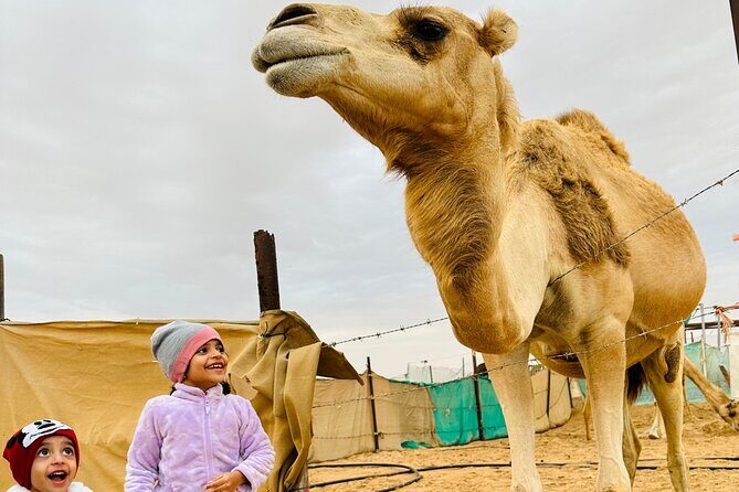 Abu Dhabi: 4x4 Desert Safari and Sandboarding. - An Introduction to the Desert Safari