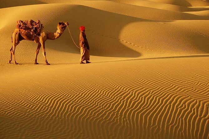 Abu Dhabi 4x4 Desert Safari BBQ Dinner , Camel Ride , Belly Dance - An Overview of the Abu Dhabi Desert Safari Experience