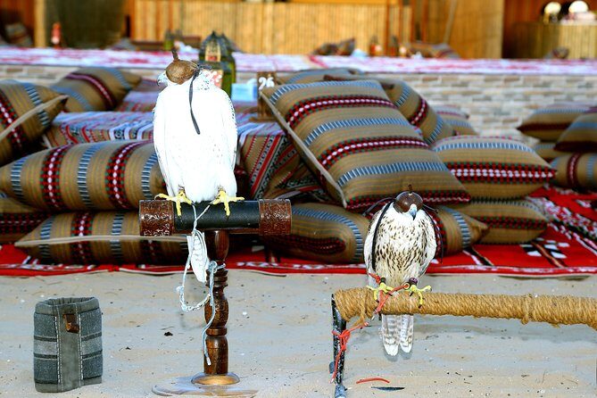 Abu Dhabi Afternoon Desert Safari and BBQ Dinner - Who Will Love This Tour?