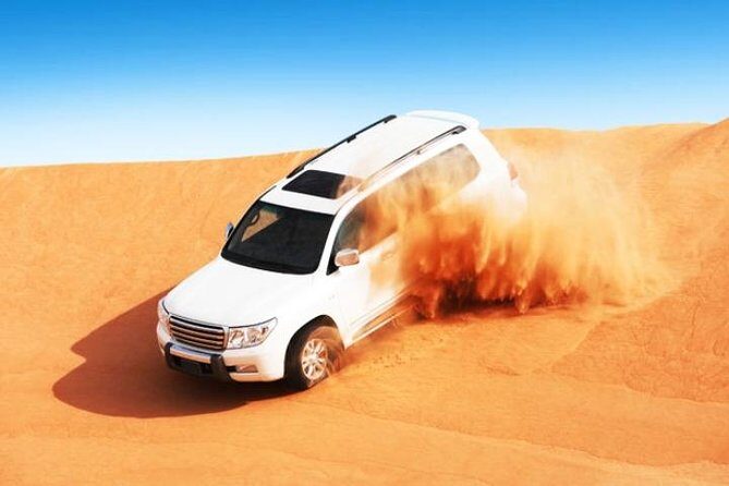 Abu Dhabi Desert Safari 4x4, BBQ Dinner, Camel Ride - A Practical Breakdown of the Tour