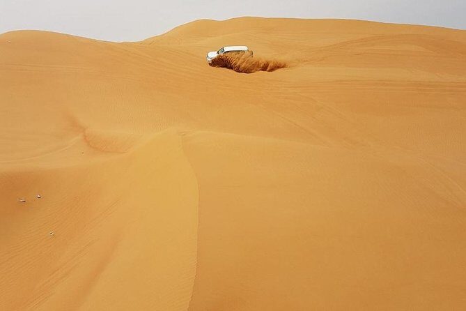 Abu Dhabi Desert Safari 4x4, BBQ Dinner, Camel Ride - Practical Tips