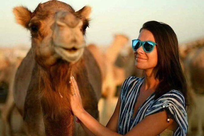 Abu Dhabi Desert Safari 4x4, BBQ Dinner, Camel Ride - FAQ