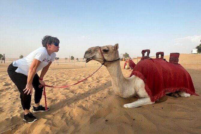 Abu Dhabi Desert Safari Tour with Shows & Buffet Dinner - An In-Depth Look at the Abu Dhabi Desert Safari