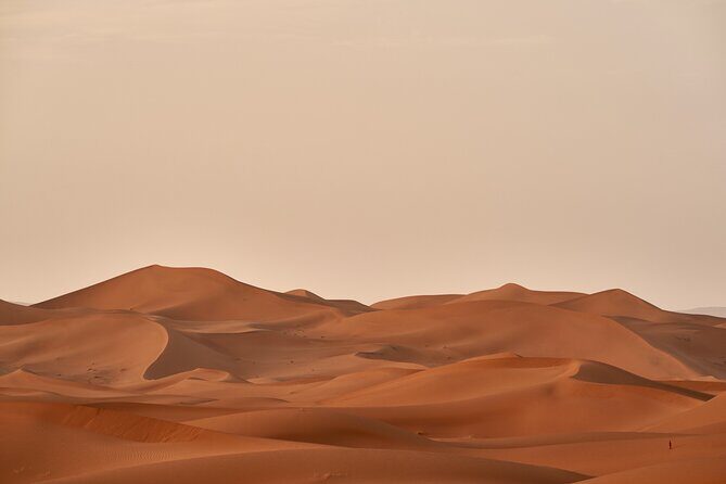 Abu Dhabi Desert Safari Tour with Shows & Buffet Dinner - FAQs