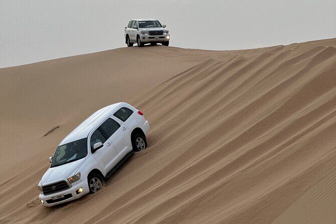 Abu Dhabi Desert Safari With BBQ Dinner & Live Shows - What Makes This Tour Stand Out
