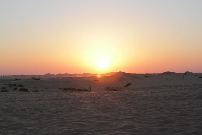 Abu Dhabi Desert Safari with BBQ Dinner & Shows - A Deep Dive into the Desert Safari Experience