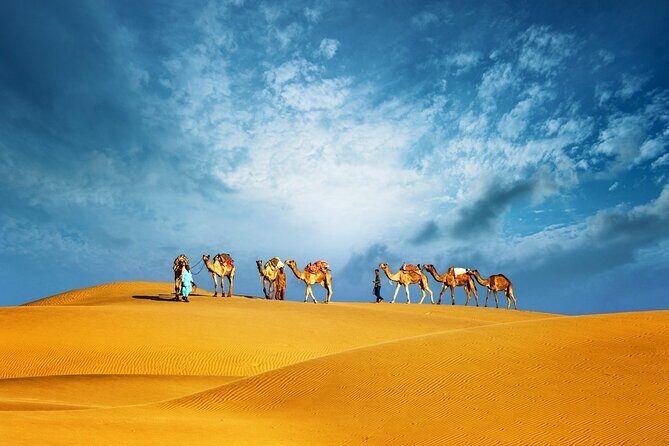 Abu Dhabi Evening Desert Safari Adventure - Key Points