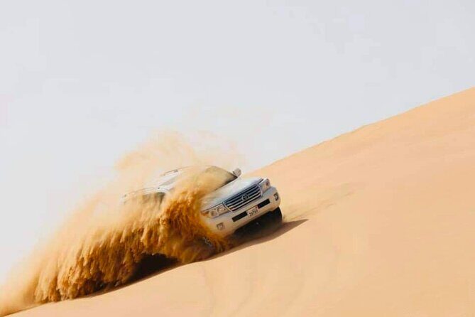 Abu Dhabi: Evening Desert Safari with Camel Ride, BBQ & Live Show - Considerations Before Booking