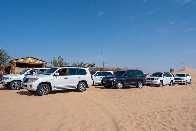 Abu Dhabi Full-Day Desert Safari - The Sum Up: Is It Worth It?