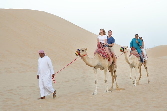 Abu Dhabi Half Day Desert Safari - A Complete Breakdown of the Tour Experience