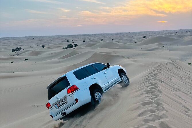 Abu Dhabi Layover & Stopover : Discover the City Between Flights - Exploring Abu Dhabi in a Few Hours