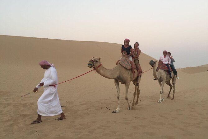 Abu Dhabi Morning Desert Safari - A Closer Look at the Itinerary and What to Expect