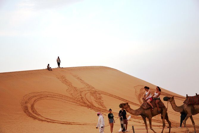 Abu Dhabi Morning Safari - Final Thoughts