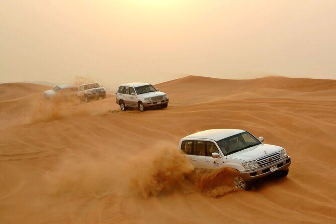 Desert Safari Experience with Dune Bashing and Dinner in Dubai - Who Should Consider This Tour?