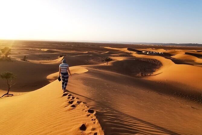 Desert Safari With BBQ Dinner, Quad Ride And And Sand-boarding - Authentic Experiences and Genuine Value