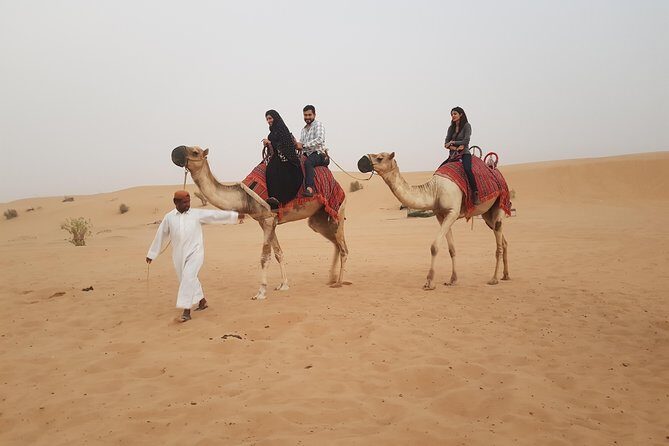 Dubai 4x4 Desert Safari, Quad Bike, Camel Ride & BBQ Dinner - The Sum Up