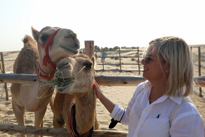 Dubai: Al Marmoom Oasis Vintage Safari: Camels, Stargazing & Meal - A Deep Dive into the Dubai Desert Experience