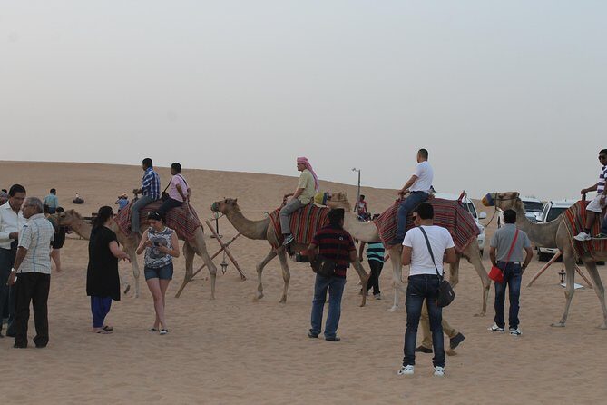Dubai: Buggy Dune Bashing, Sand Boarding, Camel Ride & Show - Who Is This Tour Perfect For?