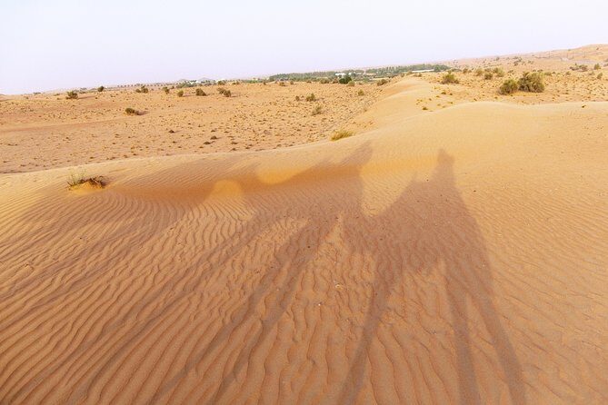 Dubai Camel Desert Safari, Traditional Meal & Heritage Activities - A Deep Dive into the Desert Experience