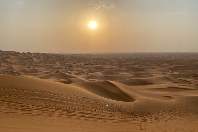Dubai Desert Safari, Camel, Live BBQ & Shows (Private 4x4 Car) - Practical Tips for Travelers