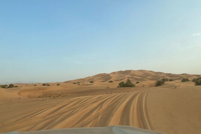 Dubai Desert Safari, Camel, Live BBQ & Shows (Private 4x4 Car) - The Sum Up: Who Is This Tour Best Suited For?