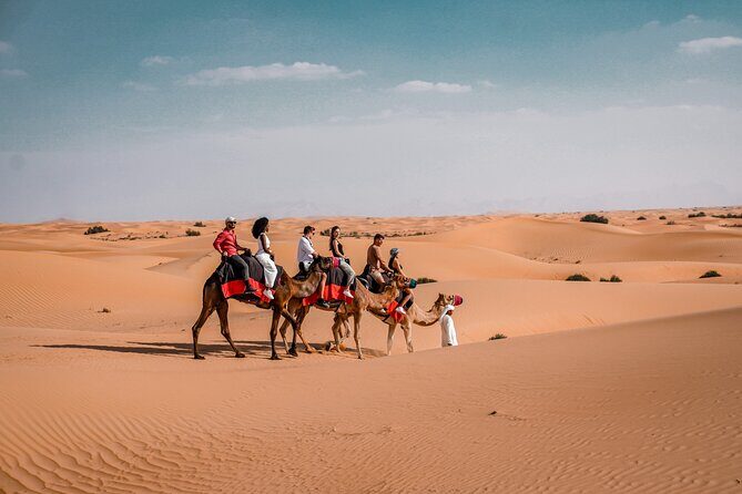 Dubai Desert Safari: Camel Ride, Sandboarding, BBQ & House Drinks - Night Sky and Wrap-Up
